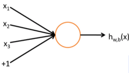 simplified neuron