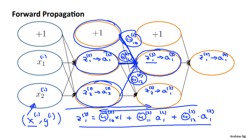 Foward Prop Intuition